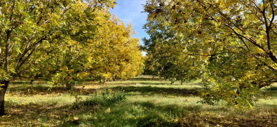 Commercial Property for Sale in Jan Kempdorp Rural Northern Cape